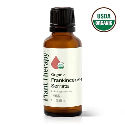 Plant Therapy Organic Frankincense Serrata Essential Oil 30ml (1 Fl Oz) | USDA Certified Pure Aromatherapy thumbnail 7