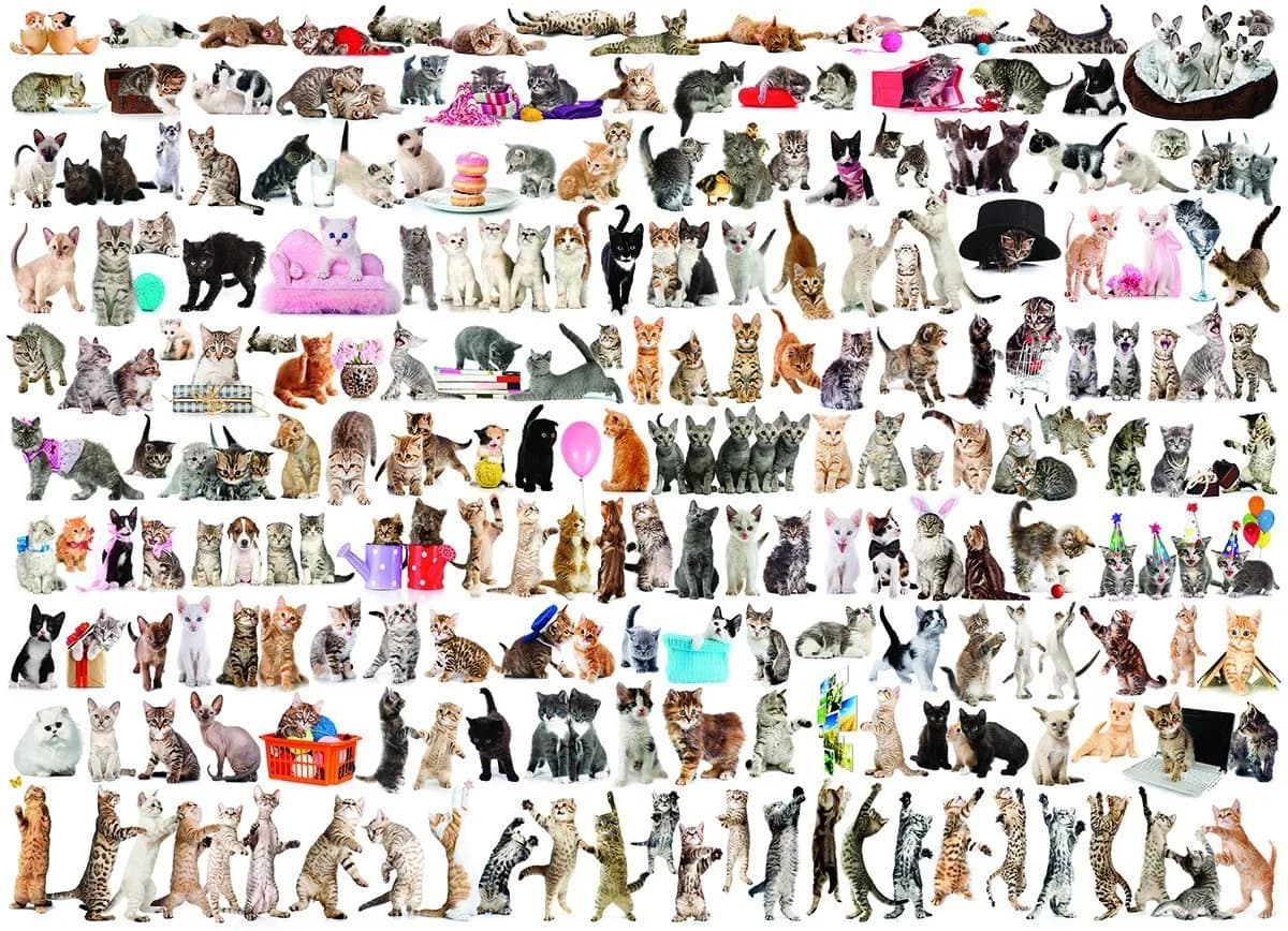 EuroGraphics World of Cats Jigsaw Puzzle 1000 Pieces | Educational STEM Toy — 1000