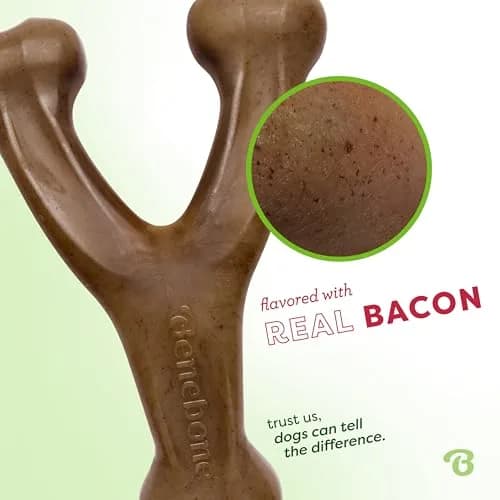 Benebone Wishbone Durable Dog Chew Toy Small Real Bacon Flavor | Tough Nylon for Aggressive Chewers thumbnail 2