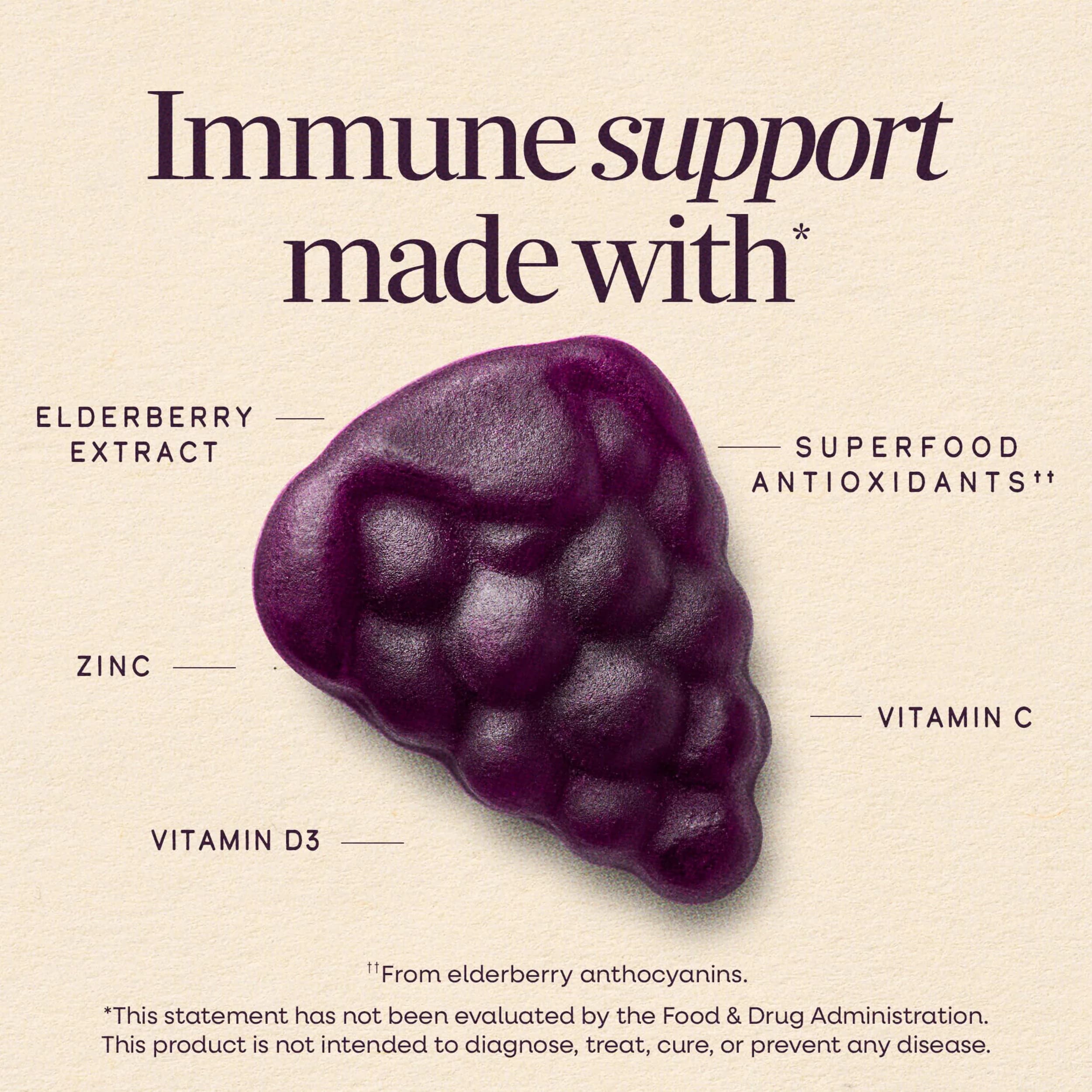 Nature's Way Sambucus Elderberry Gummies Immune Support with Vitamin C, D3, Zinc (60 Count) thumbnail 2