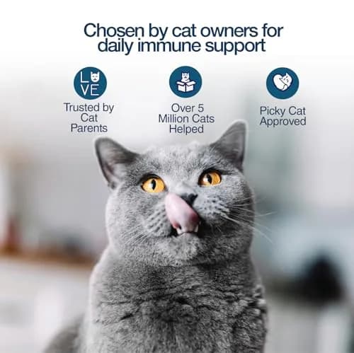 Felisyl L-Lysine Gel for Cats & Kittens 5oz | Immune & Respiratory Support thumbnail 5