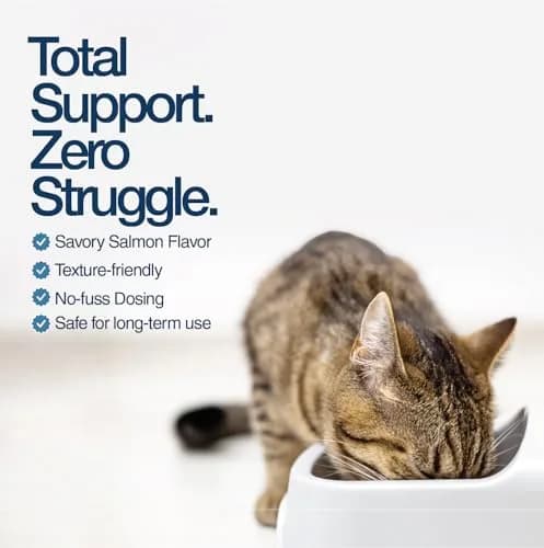 Felisyl L-Lysine Gel for Cats & Kittens 5oz | Immune & Respiratory Support thumbnail 6