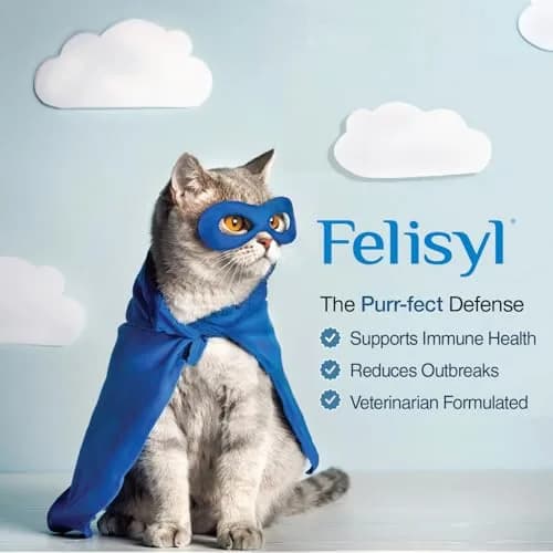 Felisyl L-Lysine Gel for Cats & Kittens 5oz | Immune & Respiratory Support thumbnail 9