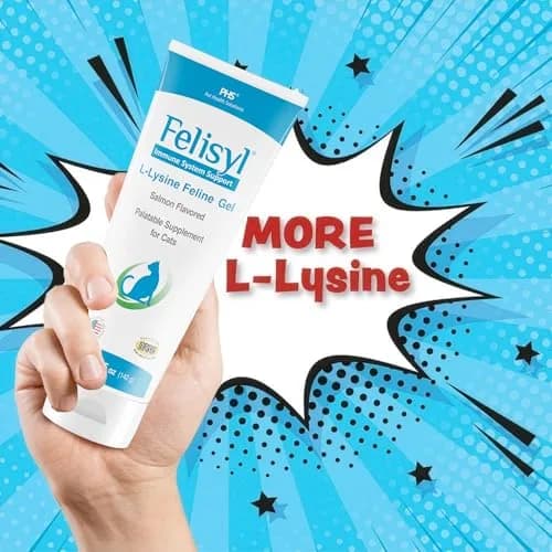 Felisyl L-Lysine Gel for Cats & Kittens 5oz | Immune & Respiratory Support thumbnail 2