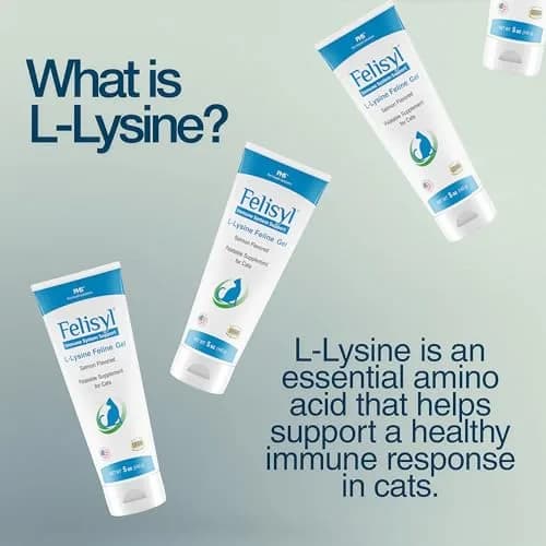 Felisyl L-Lysine Gel for Cats & Kittens 5oz | Immune & Respiratory Support thumbnail 3
