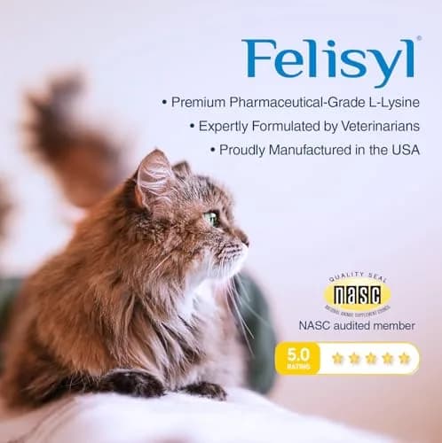 Felisyl L-Lysine Gel for Cats & Kittens 5oz | Immune & Respiratory Support thumbnail 4
