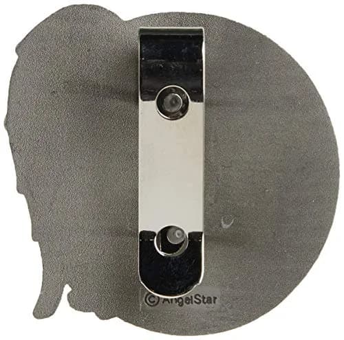 AngelStar Daughter Guardian Angel Visor Clip Accent 6.35cm (2.5-Inch) | Metal Clip for Safe Driving thumbnail 4