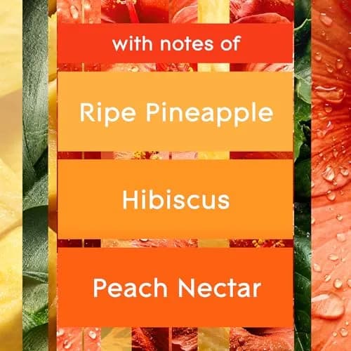 Glade Automatic Spray Air Freshener Refill Hawaiian Breeze 2 Count | Scented Mist for Instant Vacation Vibes thumbnail 2