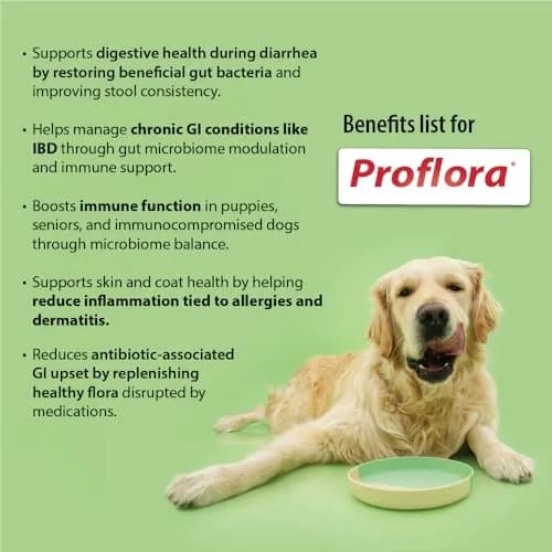 Proflora Probiotics & Prebiotics for Dogs 30 Sachets | Supports Gut & Immune Health thumbnail 2
