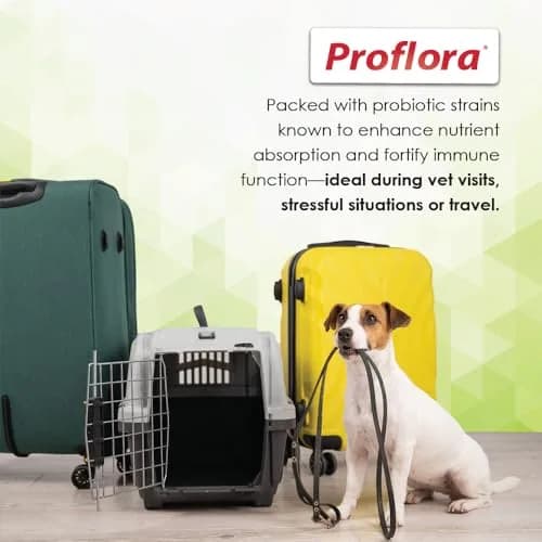 Proflora Probiotics & Prebiotics for Dogs 30 Sachets | Supports Gut & Immune Health thumbnail 4