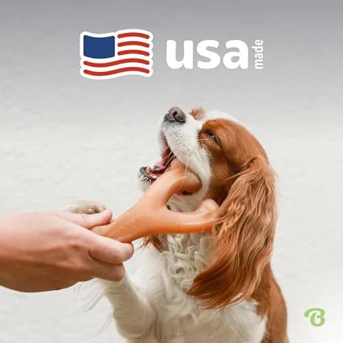 Benebone Wishbone Durable Dog Chew Toy for Aggressive Chewers, Real Chicken Flavor, Medium, 17cm (6.7in) thumbnail 5