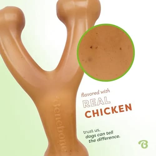 Benebone Wishbone Durable Dog Chew Toy for Aggressive Chewers, Real Chicken Flavor, Medium, 17cm (6.7in) thumbnail 2