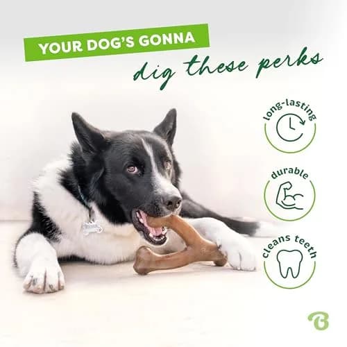 Benebone Wishbone Durable Dog Chew Toy for Aggressive Chewers, Real Chicken Flavor, Small | Tough Nylon Toy for Any Breed thumbnail 3