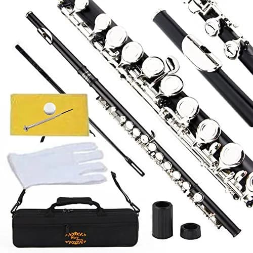 GLORY Closed Hole C Flute with Case, Tuning Rod & Gloves, Black/Silver | Brass & Woodwind Instrument — Black/Silver