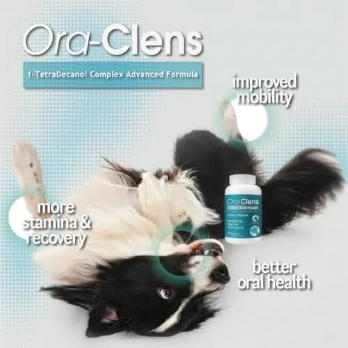Ora-Clens 1-TDC Periodontal Supplement ES for Dog & Cat | Supports Oral, Hip & Joint Health, Skin & Coat, 120 Capsules thumbnail 4