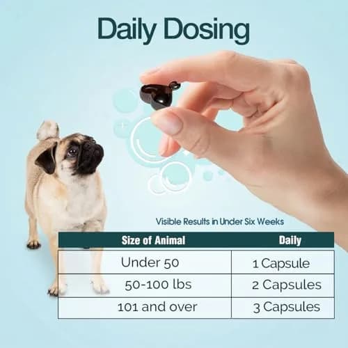 Ora-Clens 1-TDC Periodontal Supplement ES for Dog & Cat | Supports Oral, Hip & Joint Health, Skin & Coat, 120 Capsules thumbnail 8