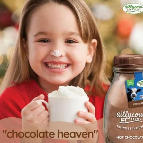 Silly Cow Farms Hot Chocolate Mix Truffle Flavor | Vegan, Nut Free, Gluten-Free 16.9 Oz thumbnail 4