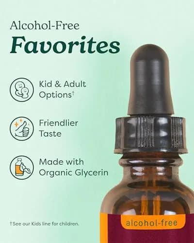 Herb Pharm Organic Lemon Balm Extract Alcohol-Free Liquid 118ml (4 Fl Oz) | Calming Support for Nervous System thumbnail 6