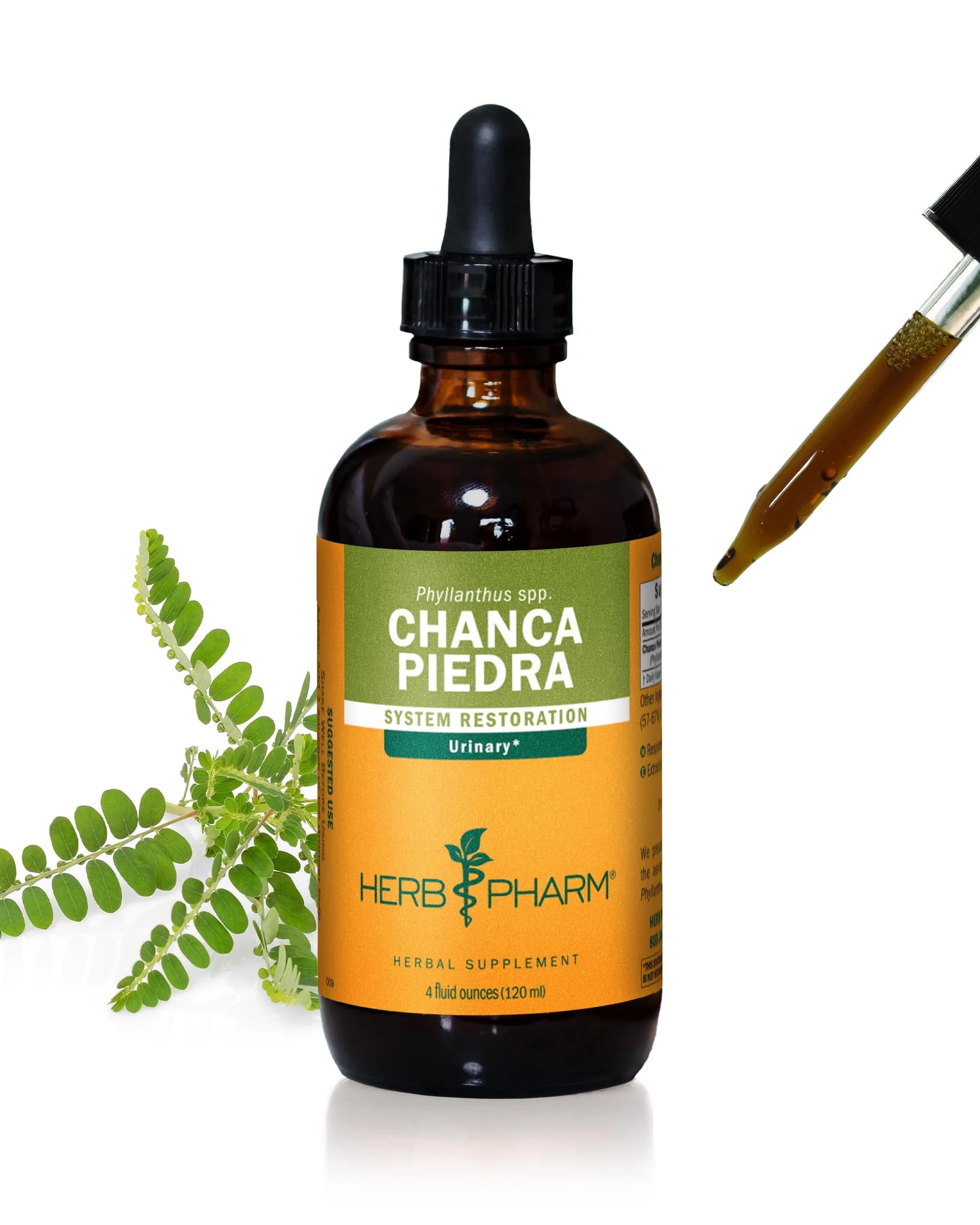 Herb Pharm Chanca Piedra Liquid Extract 1 Fl Oz (29.57 ml) | Supports Urinary System Health — 4 Fl Oz