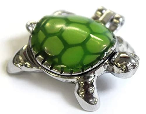Ganz Lucky Little Turtle Wish Box Charm With Story Card! | Animal Theme Charm thumbnail 4
