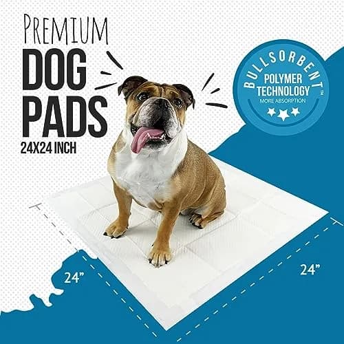 Bulldogology Puppy Training Pads - 100-Count Large Leak-Proof Pee Pads with 6 Layers & Quick Dry Polymer (24x24 inches) thumbnail 2