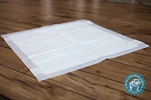 Bulldogology Puppy Training Pads - 100-Count Large Leak-Proof Pee Pads with 6 Layers & Quick Dry Polymer (24x24 inches) thumbnail 3