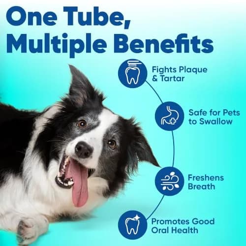 Virbac C.E.T. Enzymatic Toothpaste for Dogs and Cats, Poultry Flavor, 70g (2.5oz) | Vet Recommended Dental Care thumbnail 2