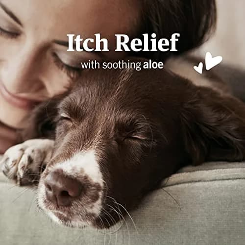 PetArmor Ear Mite & Tick Treatment for Dogs, 88.7 ml (3 fl oz) | Kills Mites & Ticks, Relieves Itching with Aloe thumbnail 3
