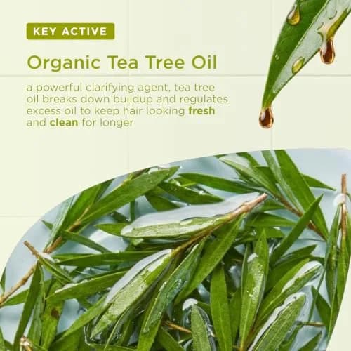 Dr. Organic Tea Tree Shampoo 265ml | Organic, Deep Cleansing for Oily Hair thumbnail 4