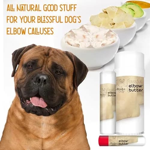 The Blissful Dog Elbow Butter Balm for Dry, Cracked Calluses 227g (8 oz) | Lick-Safe Dog Balm with Shea Butter & Natural Oils thumbnail 3