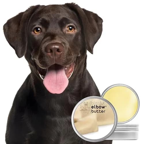 The Blissful Dog Elbow Butter for Dry, Cracked Calluses 29.57ml (1 oz) | Lick-Safe Dog Balm for Dry Elbows thumbnail 2