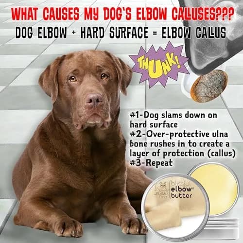 The Blissful Dog Elbow Butter Balm for Dry, Cracked Calluses 59ml (2 oz) | Lick-Safe Dog Balm for Soothing Elbows thumbnail 5