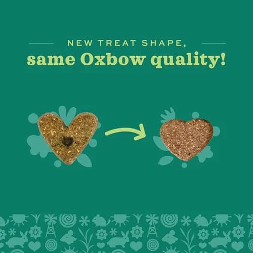 Oxbow Simple Rewards Apple Banana Treats for Rabbits & Guinea Pigs, 85g (3 oz) | High Fiber Baked Snack thumbnail 6