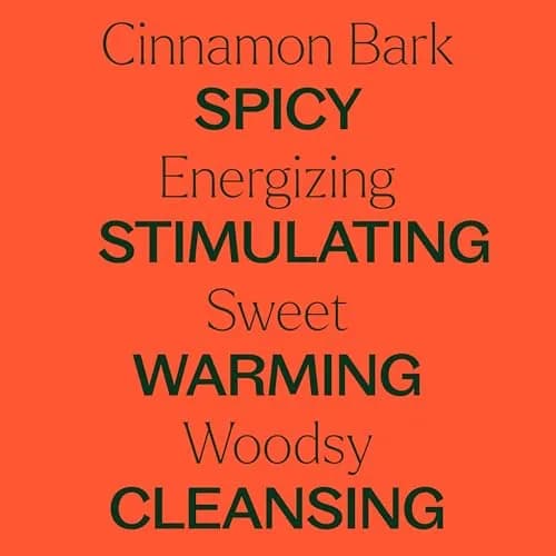 Plant Therapy Cinnamon Bark Essential Oil 30 mL (1 oz) | Stimulating Aroma for Indian Homes thumbnail 4