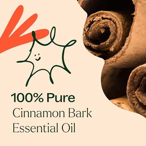 Plant Therapy Cinnamon Bark Essential Oil 30 mL (1 oz) | Stimulating Aroma for Indian Homes thumbnail 5