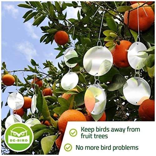 De-Bird Reflective Hanging Discs 8 Pack | Outdoor Garden Decor with Swivel Hooks thumbnail 4