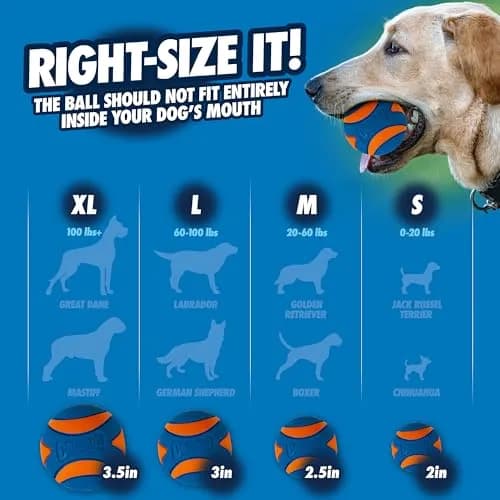 Chuckit! Ultra Squeaker Ball Fetch Toy Medium 7.6 cm (3 in) | Durable Natural Rubber Dog Toy thumbnail 6