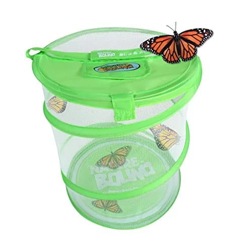 Nature Bound Butterfly Growing Kit 13 inch Tall Pop-Up Enclosure | STEM Learning Guide & Caterpillar Voucher thumbnail 2