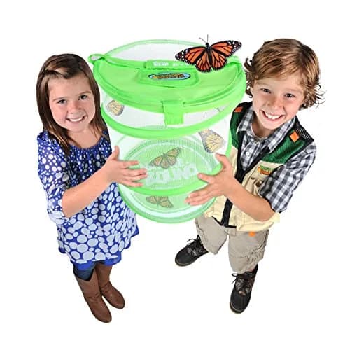 Nature Bound Butterfly Growing Kit 13 inch Tall Pop-Up Enclosure | STEM Learning Guide & Caterpillar Voucher thumbnail 3