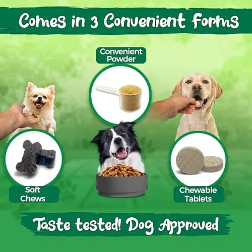 Vital Planet Hip & Joint Supplement for Dogs | Herbal Blend with Glucosamine & MSM (60 Chewable Tabs) thumbnail 5