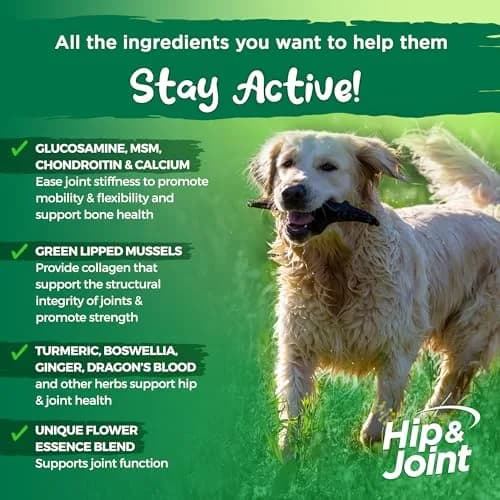 Vital Planet Hip & Joint Supplement for Dogs | Herbal Blend with Glucosamine & MSM (60 Chewable Tabs) thumbnail 3