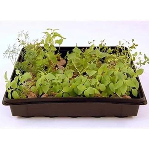 Living Whole Foods Plant Germination Drip Trays - Pack of 100-10" by 10" Black Plastic Reusable Trays for Seedlings & Microgreens thumbnail 3