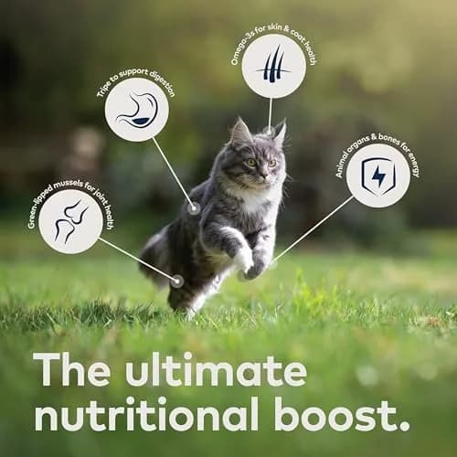ZIWI Peak Air-Dried Beef Cat Food 400g (14oz) | High Protein, Grain-Free, Ethically Sourced thumbnail 5