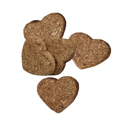 Oxbow Simple Rewards Guinea Pig & Rabbit Treats, Cranberry, Baked, 3 oz | All-Natural Small Animal Snack thumbnail 4