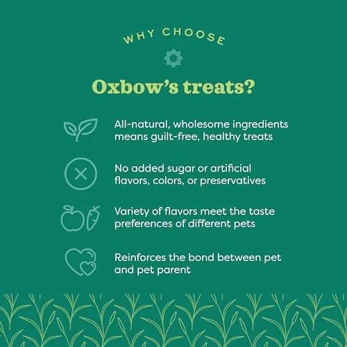 Oxbow Simple Rewards Guinea Pig & Rabbit Treats, Cranberry, Baked, 3 oz | All-Natural Small Animal Snack thumbnail 3