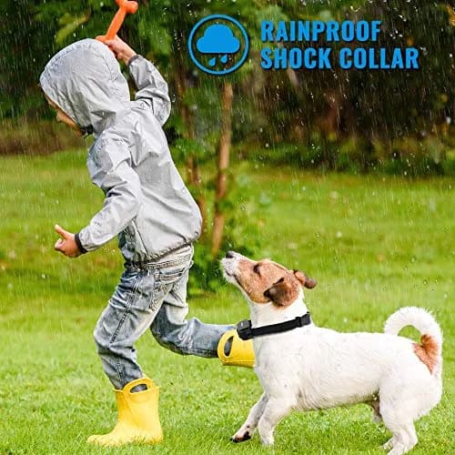 Petrainer PET998DRB1 Dog Training Collar Black | 330 yd Remote Control with Beep, Vibration, Static Modes thumbnail 4