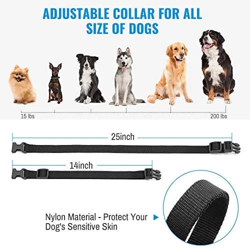 Petrainer PET998DRB1 Dog Training Collar Black | 330 yd Remote Control with Beep, Vibration, Static Modes thumbnail 6