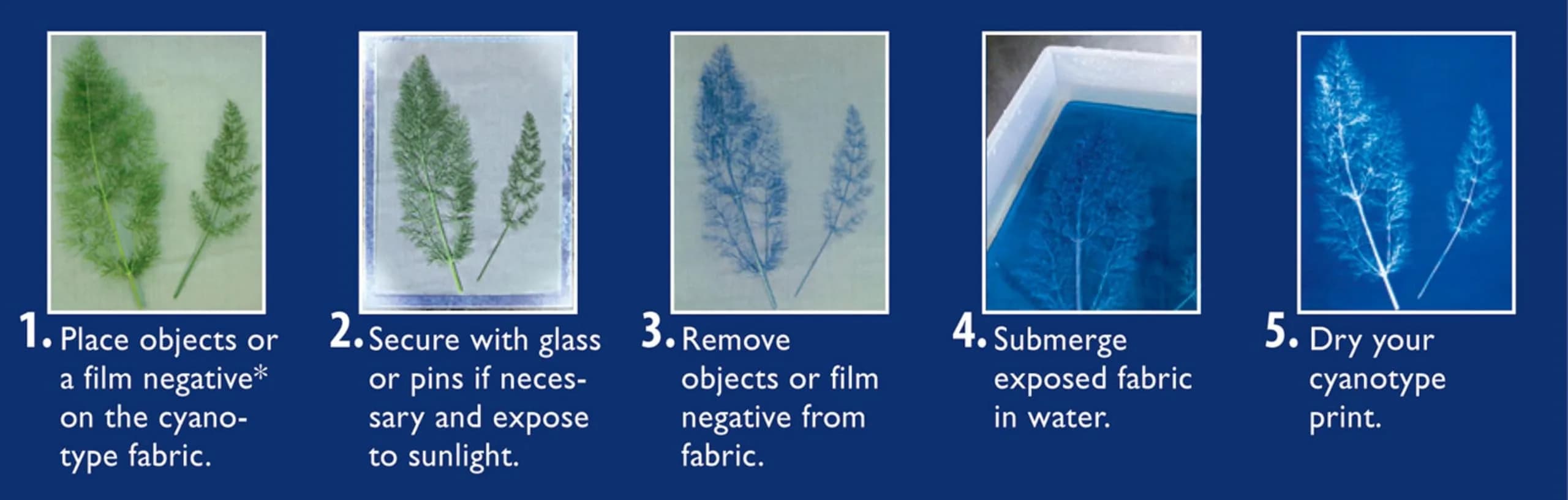 Jacquard Cyanotype Sensitizer Set | Ancient Photographic Process for Paper & Fabric Prints thumbnail 4