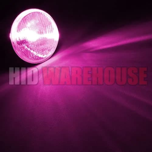 HID-Warehouse H1 Xenon Replacement Bulbs 15000K Pink (Pair) | Plug-and-Play HID Headlight Upgrade thumbnail 3