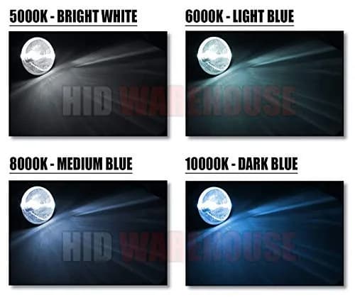 HID-Warehouse Xenon HID Replacement Bulbs 5202 (H16/9009) 10000K Dark Blue Pair | Plug-and-Play HID Headlight Upgrade thumbnail 5